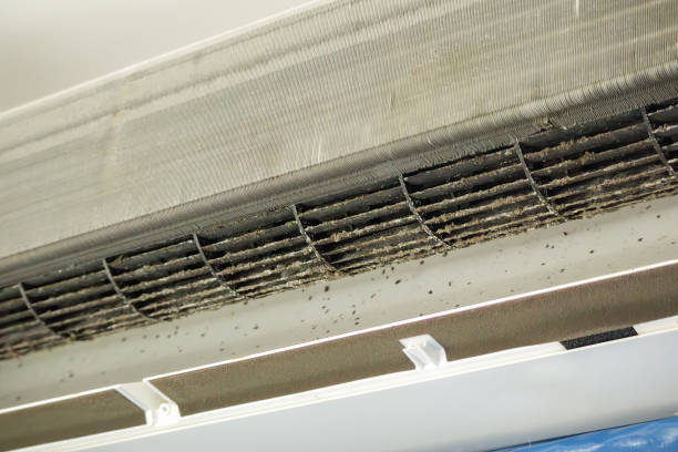 Best HVAC Air Duct Cleaning  in Pearisburg, VA